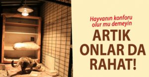 İNSANLAR KADAR ONLAR DA HAK ETTİ!