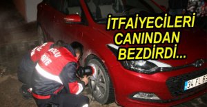 İTFAİYECİLERİ CANINDAN BEZDİRDİ