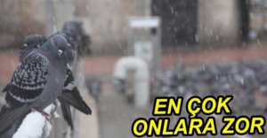 KAR EN ÇOK ONLARI VURUYOR