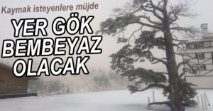 KARTALKAYA BEMBEYAZ OLDU