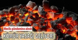 KÖMÜR YASAĞI RESMEN MECLİS'TE!