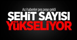 NUSAYBİN'DEN PEŞ PEŞE ACI HABERLER