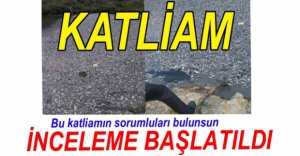 O GÖRÜNTÜLERE İNCELEME BAŞLATILDI