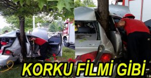 OTOMOBİL AĞACA ÇARPARAK DURDU