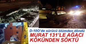 OTOMOBİL AĞACA ÇARPTI