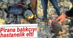 PİRANA BALIKÇIYI HASTANELİK ETTİ
