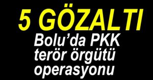 PKK OPERASYONUNDA 5 KİŞİ GÖZALTINA ALINDI