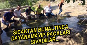 SICAKTAN BUNALINCA AKKAYALAR'A GİTTLER