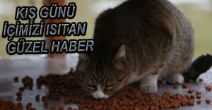 SOKAK HAYVANLARINI UNUTMAYALIM