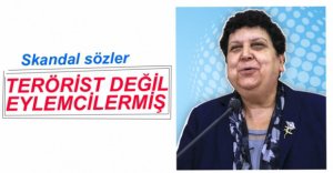TERÖRİSTLER EYLEMCİYMİŞ...