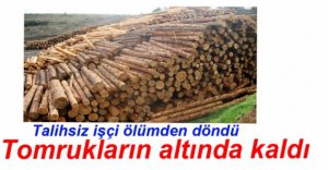 TOMRUKLARIN ALTINDA KALDI