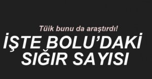 TÜİK'TEN BUNU DA ARAŞTIRMIŞ!