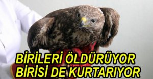 YARALI ŞAHİNE DUYARLI VATANDAŞ YARDIMI...