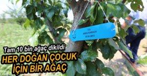10 BİN BEBEK İÇİN AĞAÇ DİKİLDİ