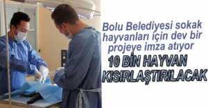 10 BİN HAYVAN KISIRLAŞTIRILACAK