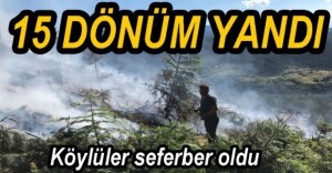 15 DÖNÜM ARAZİ YANARAK KÜL OLDU