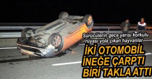 2 OTOMOBİL İNEĞE ÇARPTI, BİRİSİ TAKLA ATTI