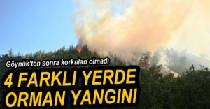 4 FARKLI YERDE ORMAN YANGINI ÇIKTI
