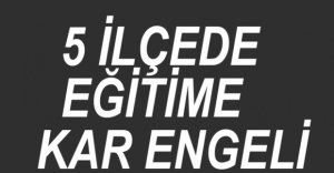 5 İLÇEDE EĞİTİME KAR TATİLİ