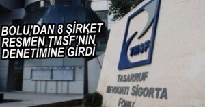 8 ŞİRKET TMSF DENETİMDE YÖNETİLECEK