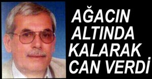 AĞACIN ALTINDA KALARAK CAN VERDİ