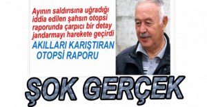 AYI DEĞİL ARKADAŞI ÖLDÜRMÜŞ