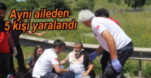 AYNI AİLEDEN 5 KİŞİ YARALANDI