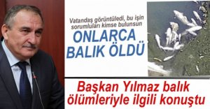 BAŞKAN YILMAZ BALIK ÖLÜMLERİYLE İLGİLİ KONUŞTU