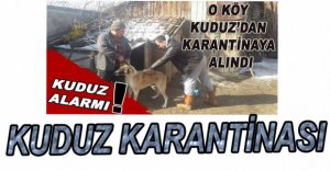 BOLU'DA BİR KÖY KARANTİNAYA ALINDI