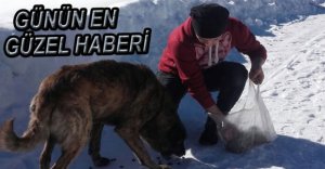 BOLU'DA  HİÇBİR CANLI SAHİPSİZ DEĞİL