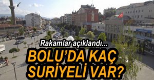 BOLU'DA YAŞAYAN SURİYELİ SAYISI AÇIKLANDI