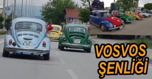 BOLU'DA VOSVOS ŞENLİĞİ