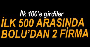 BOLU'DAN İKİ FİRMA İLK 100'E GİRDİ