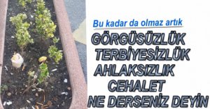 BU KADAR GÖRGÜSÜZLÜK OLMAZ