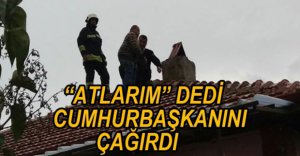 BUNALIMA GİRDİ CUMHURBAŞKANINI ÇAĞIRDI