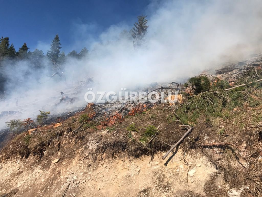 15 DÖNÜM ARAZİ YANARAK KÜL OLDU