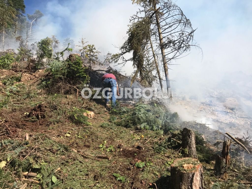 15 DÖNÜM ARAZİ YANARAK KÜL OLDU