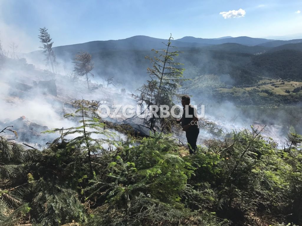 15 DÖNÜM ARAZİ YANARAK KÜL OLDU