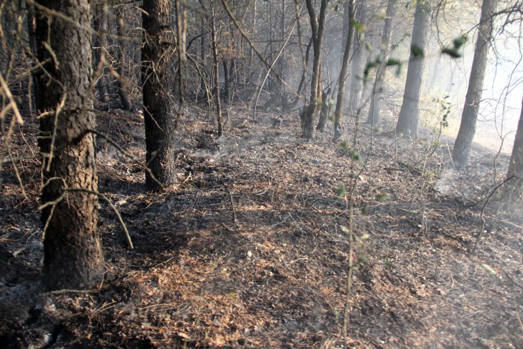 21 SAAT SÜREN KABUS....