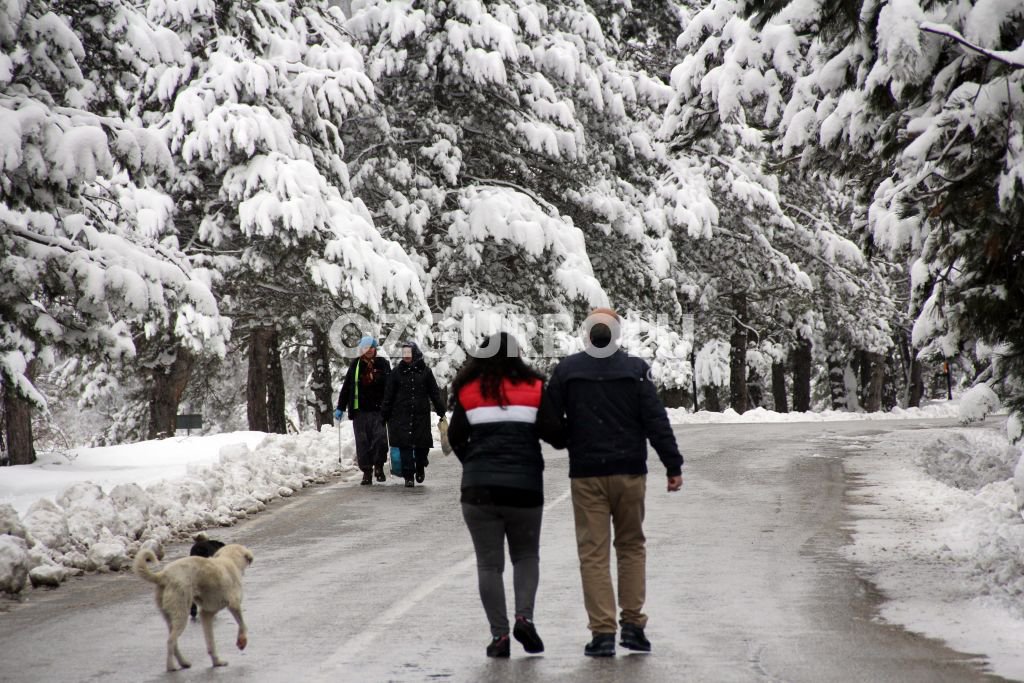 ABANT DÖRT MEVSİM BÜYÜLÜYOR