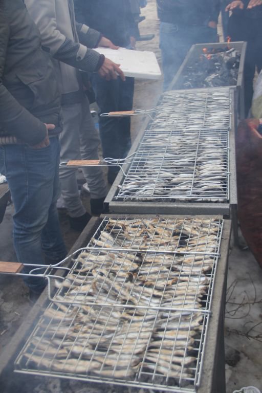 BİNLERCE ÖĞRENCİ HAMSİ FESTİVALİNDE EĞLENDİ