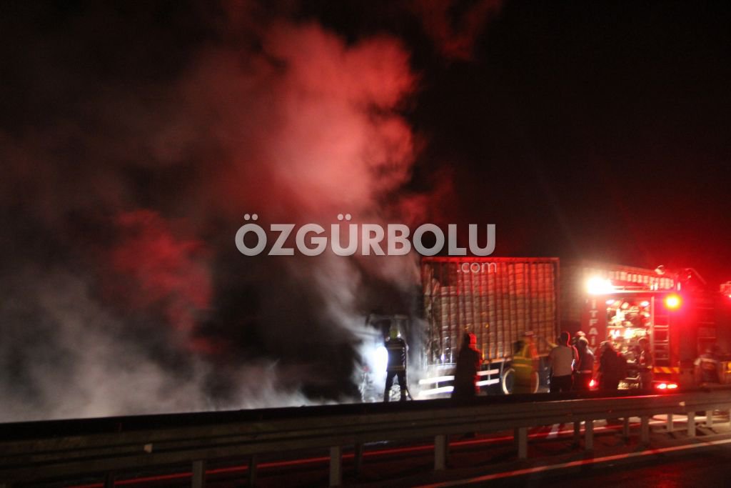 BİNLERCE TAVUK TELEF OLDU