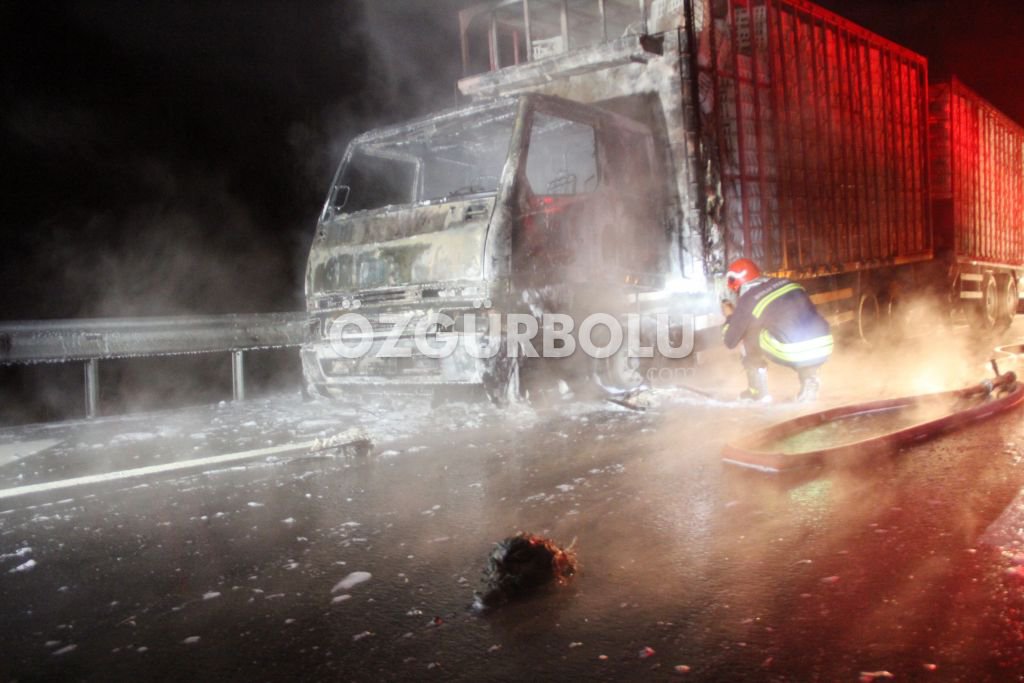 BİNLERCE TAVUK TELEF OLDU