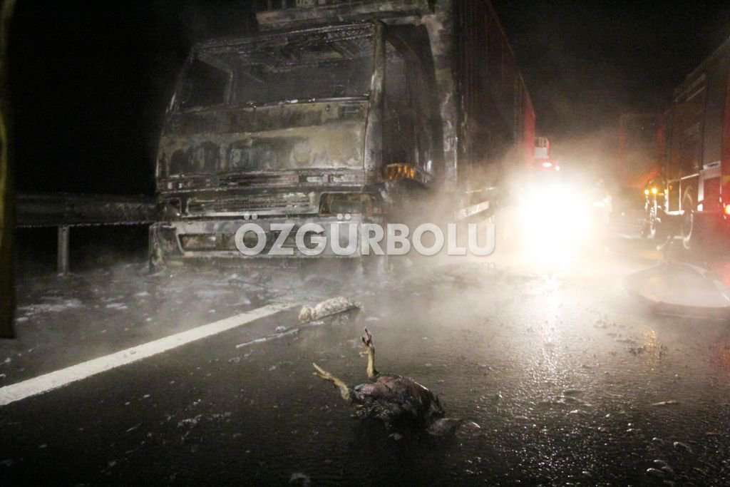 BİNLERCE TAVUK TELEF OLDU