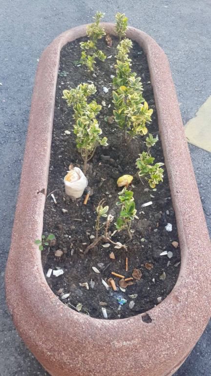 BU KADAR GÖRGÜSÜZLÜK OLMAZ