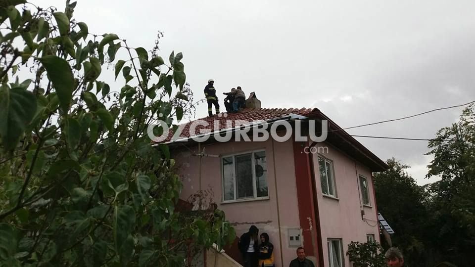 BUNALIMA GİRDİ CUMHURBAŞKANINI ÇAĞIRDI