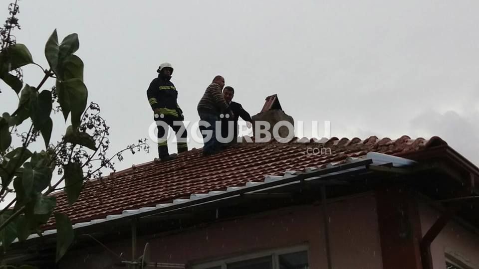 BUNALIMA GİRDİ CUMHURBAŞKANINI ÇAĞIRDI