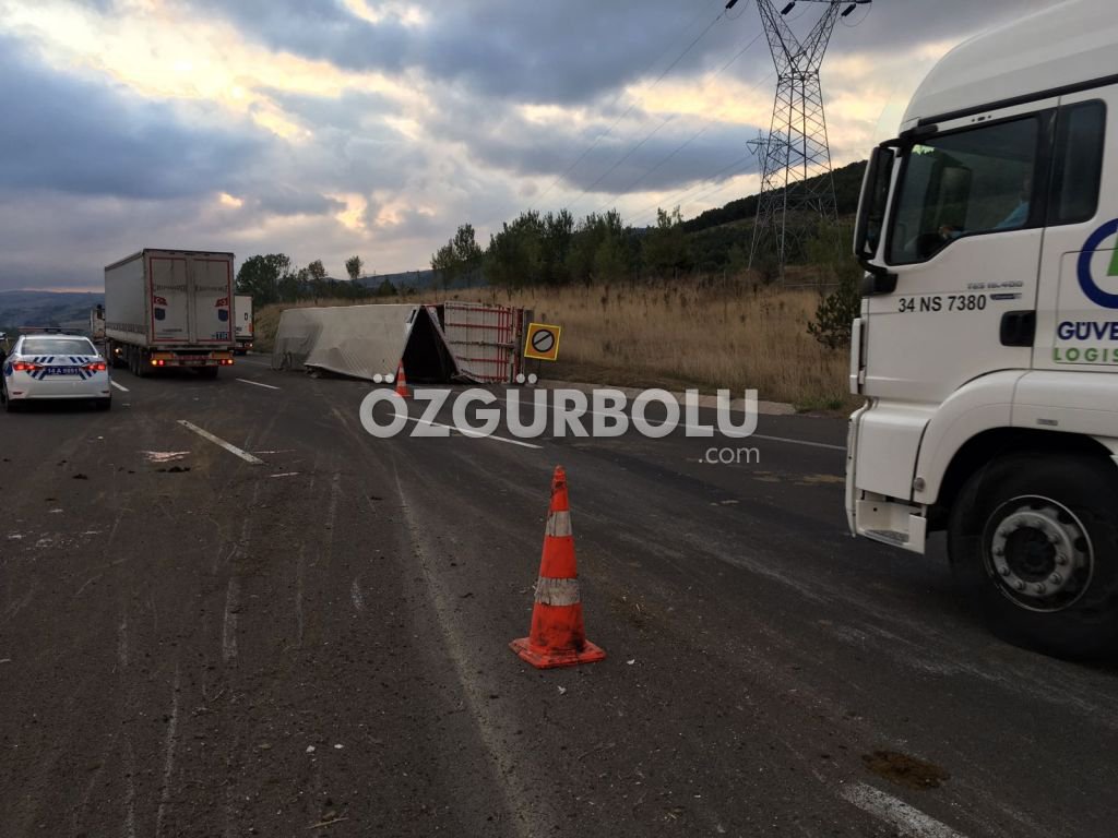 BÜYÜKBAŞ HAYVANLAR TELEF OLDU