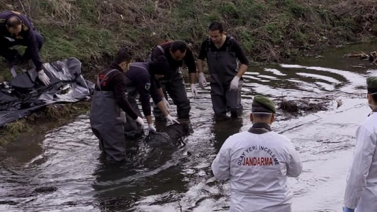 DEREDE CANSIZ HALDE BULUNDU