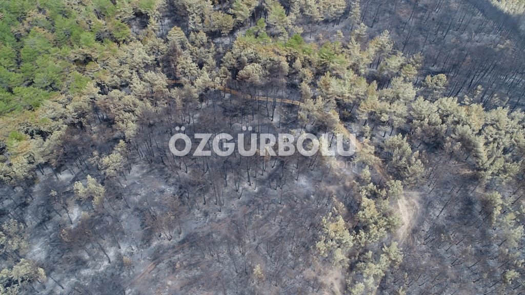 FELAKET HAVADAN GÖRÜNTÜLENDİ